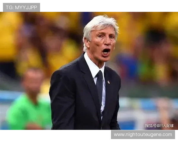 赖斯创造力有限 中场战术适配性与角色价值分析